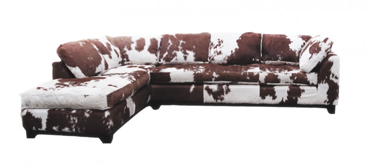 design_wild1_0810.jpg
